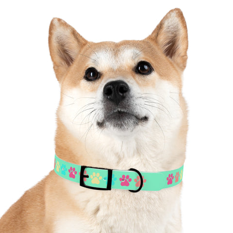 Kiwi Dog Collar – Bright, Durable, and Perfect for Outdoor Adventurers