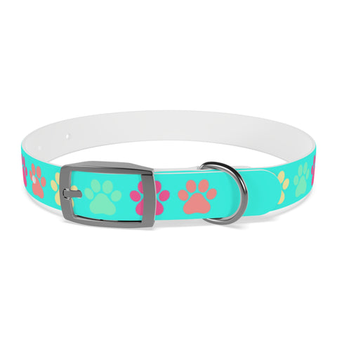 Frozen Yogi Berry Dog Collar – Colorful, Durable, and Perfect for Adventure-Loving Pets