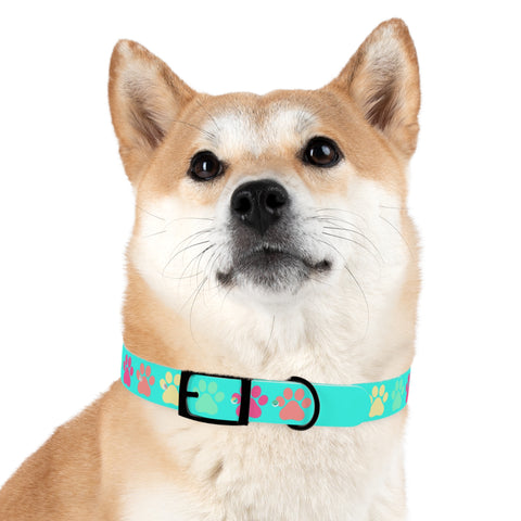 Frozen Yogi Berry Dog Collar – Colorful, Durable, and Perfect for Adventure-Loving Pets