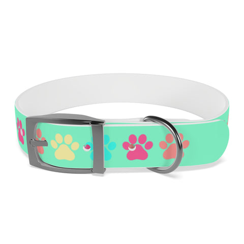 Kiwi Dog Collar – Bright, Durable, and Perfect for Outdoor Adventurers