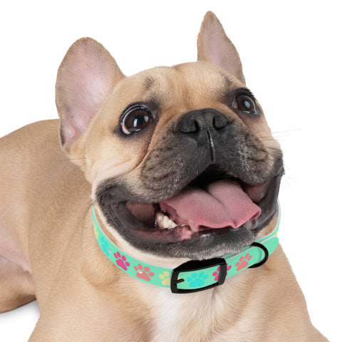 Kiwi Dog Collar – Bright, Durable, and Perfect for Outdoor Adventurers