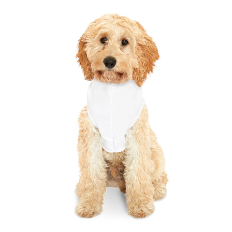 Fritzie is Nervous Pet Hoodie