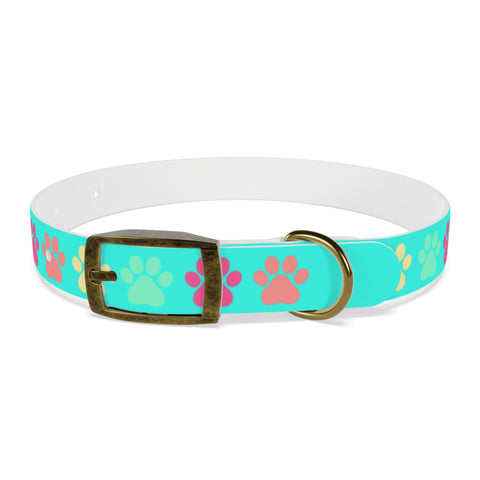 Frozen Yogi Berry Dog Collar – Colorful, Durable, and Perfect for Adventure-Loving Pets