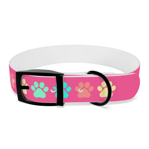 Dragon Fruit Paw Print Dog Collar – Vibrant and Durable for Active Dogs