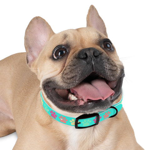 Frozen Yogi Berry Dog Collar – Colorful, Durable, and Perfect for Adventure-Loving Pets