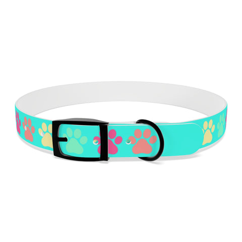 Frozen Yogi Berry Dog Collar – Colorful, Durable, and Perfect for Adventure-Loving Pets