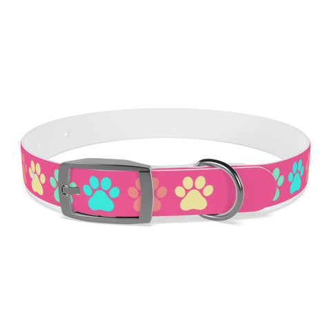 Dragon Fruit Paw Print Dog Collar – Vibrant and Durable for Active Dogs