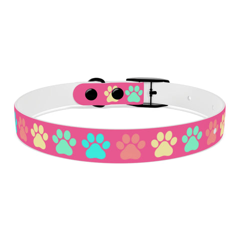 Dragon Fruit Paw Print Dog Collar – Vibrant and Durable for Active Dogs