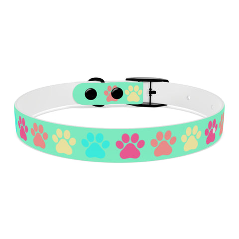 Kiwi Dog Collar – Bright, Durable, and Perfect for Outdoor Adventurers