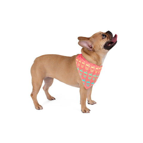 Mango Boba Pet Bandana – Bright, Tropical, and Perfect for Pets with Flair