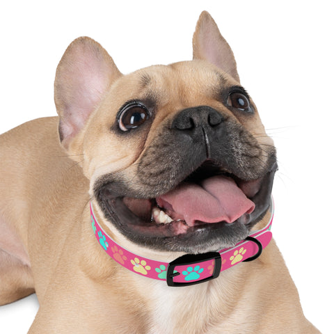 Dragon Fruit Paw Print Dog Collar – Vibrant and Durable for Active Dogs