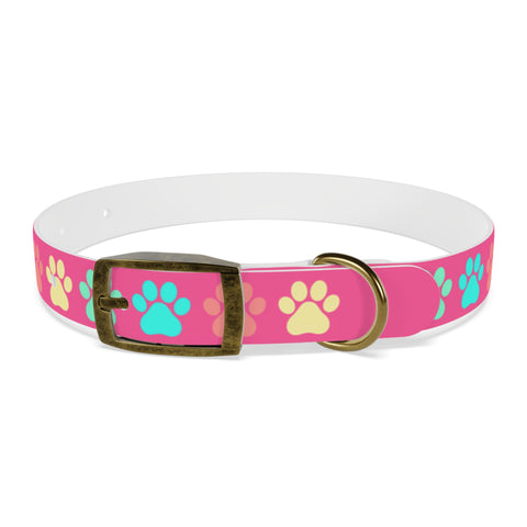 Dragon Fruit Paw Print Dog Collar – Vibrant and Durable for Active Dogs