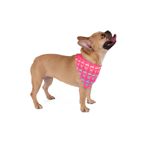 Dragon Fruit Boba Pet Bandana – Vibrant, Fun, and Perfect for Stylish Pets