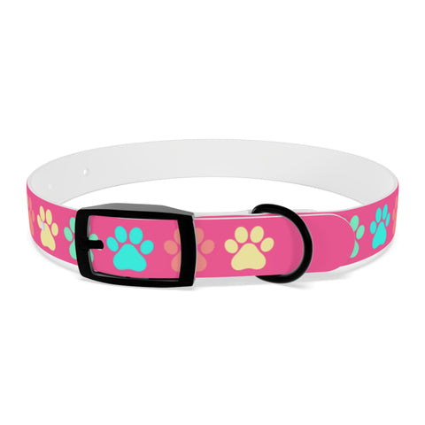 a dog collar with bright colors 